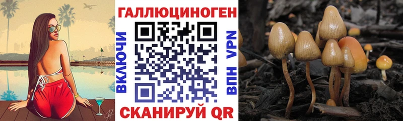 Псилоцибиновые грибы MAGIC MUSHROOMS  Купить закладки  Корсаков 